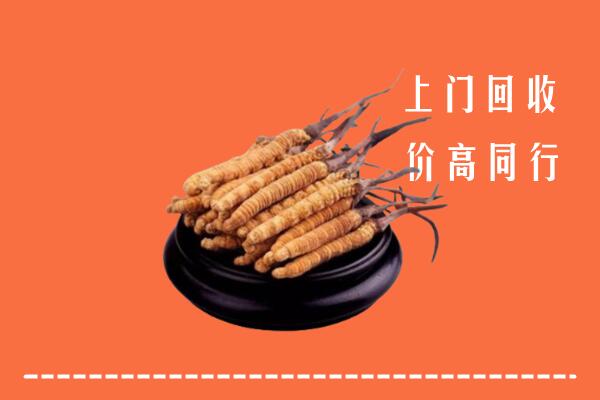 高价求购：无锡市锡山区回收散虫草