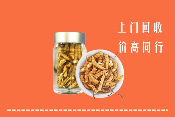 无锡市锡山区回收冬虫夏草
