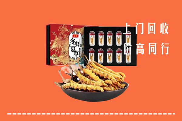 无锡市锡山区回收虫草